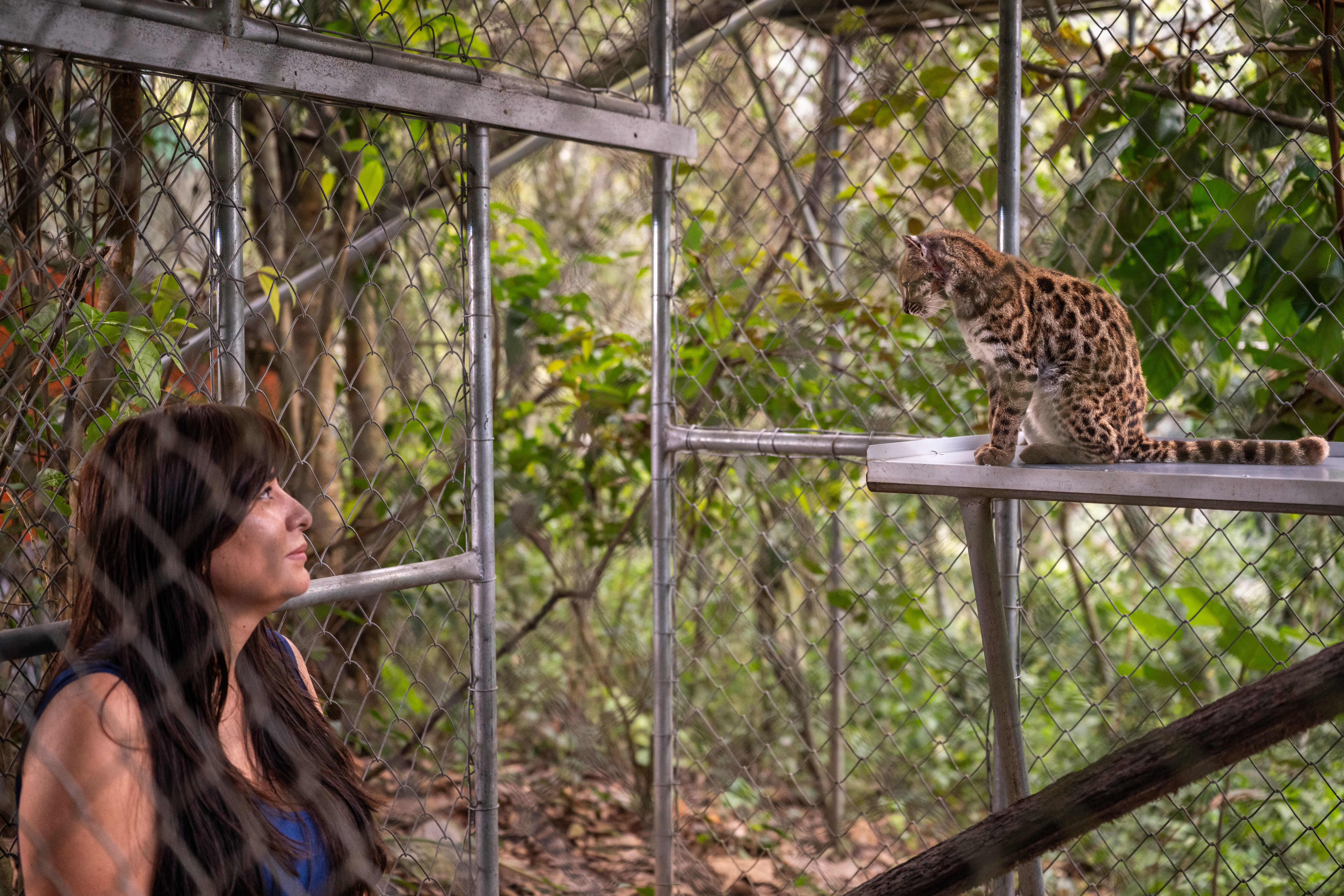 Paoloa and Tilcayo look at each other inside the sanctuary. 
